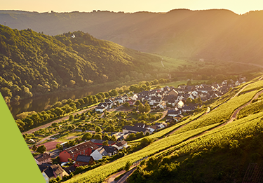 Mosel - Weinregion