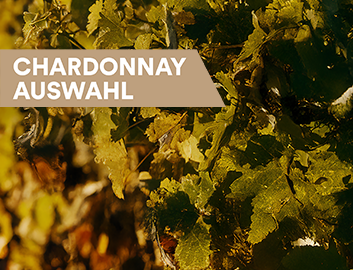 Chardonnay entdecken