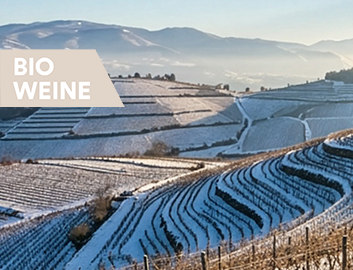 Bio Weine entdecken