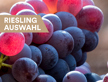 Riesling Weine entdecken