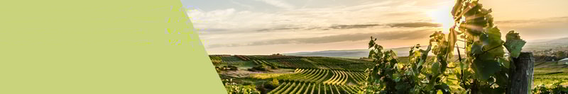 Deutschland Weinregionen