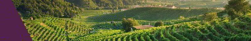 Alta Corte Lugana