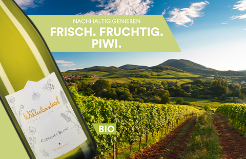Wilhelmshof Cabernet Blanc Kabinett trocken (Bio) 2024 Piwi