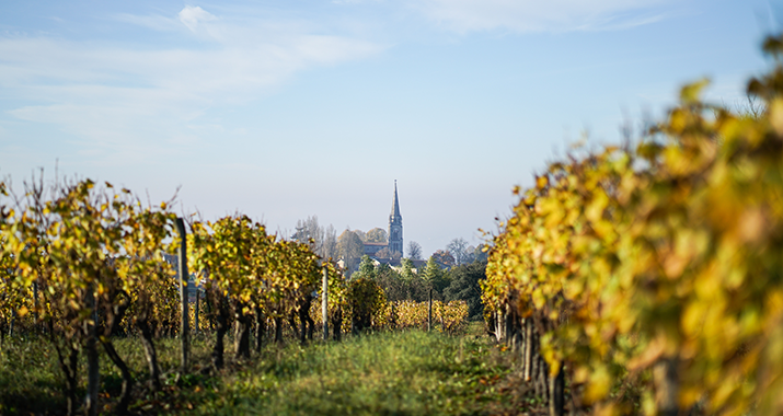 Les Capucins Franc Beauséjour Pauillac Wiengut