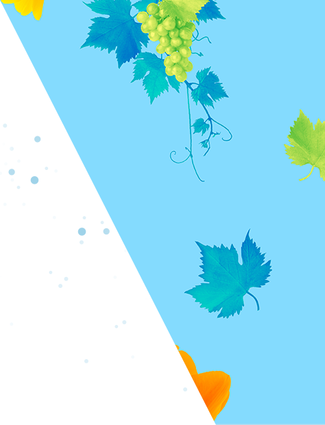 Artis Paket alkoholfrei