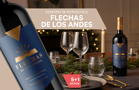 Flechas de los Andes Gran Malbec 2020 Flechas de Los Andes (Edmond de Rothschild)