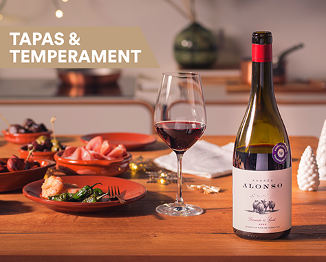 Andrés Alonso Garnacha Syrah zu spanischen Tapas