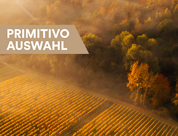 Primitivo entdecken