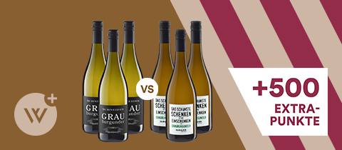 Pfälzer Winzerduell