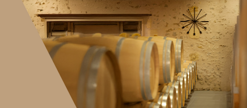 Rothschild Vorstellung