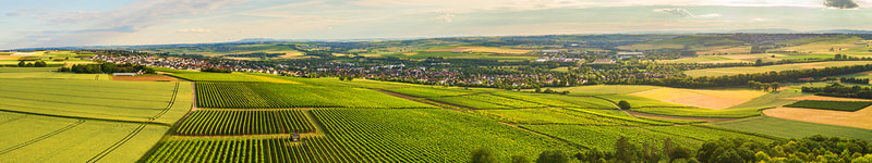 Rheinhessen