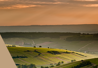 Sancerre in Frankreich