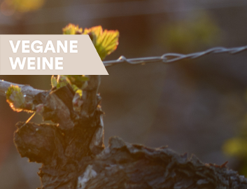 Vegane Weine entdecken