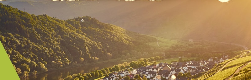 Mosel - Weinregion
