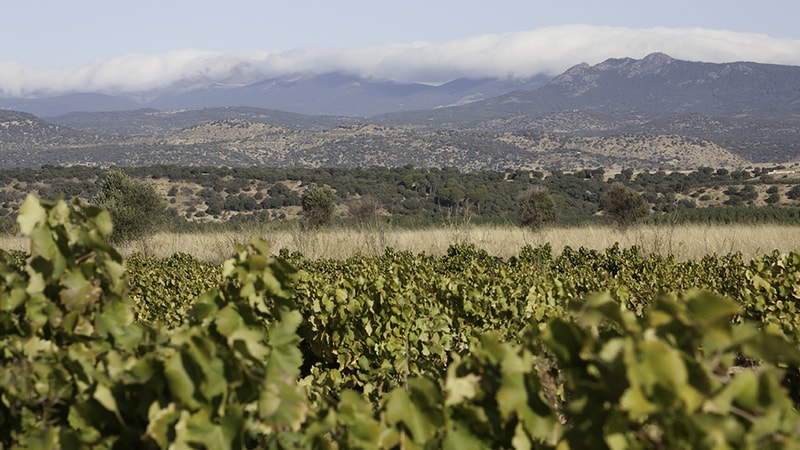 Selección Especial 2023 Casa Regalos Region