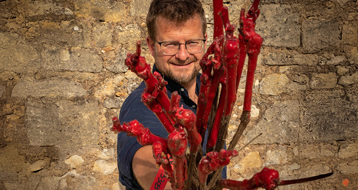 Château Robin Winzer