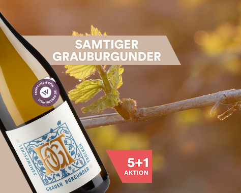 Samtmuschel Grauer Burgunder trocken 2025 Fogt