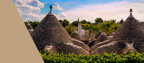 6er-Paket Primitivo Champions