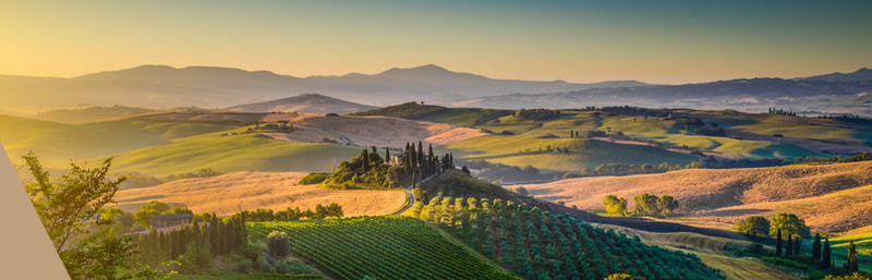 Weinberge Italien
