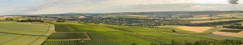 Dreissigacker Rheinhessen
