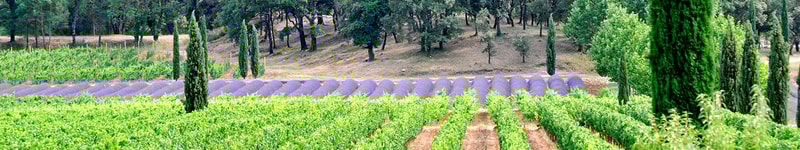 Provence