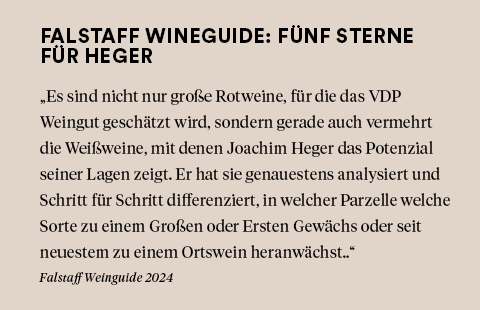 Breisacher Eckartsberg Grauburgunder Erste Lage trocken 2023 Heger
