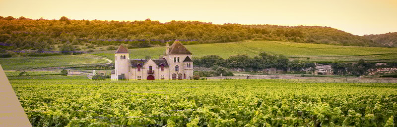 Rotweine aus Frankreich