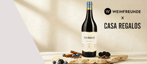 Selección Especial 2023 Casa Regalos