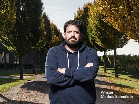 Winzer Markus Schneider