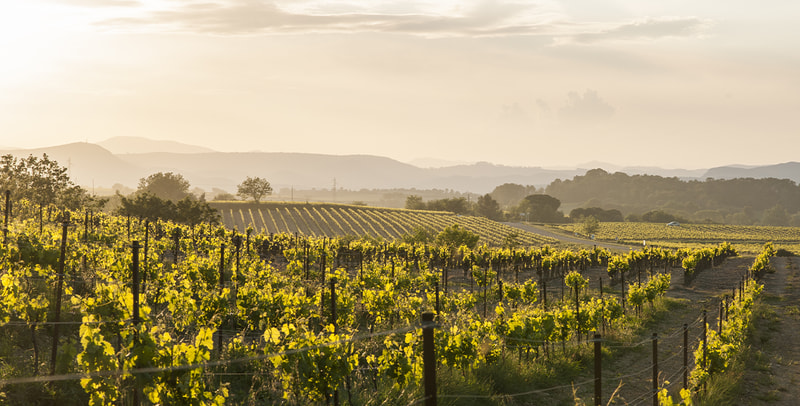 Languedoc