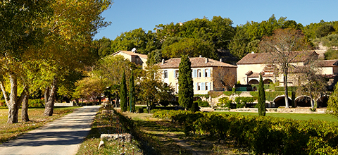 Miraval Côtes de Provence Rosé 2024