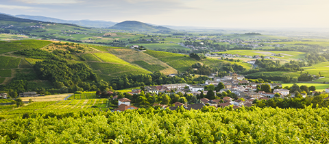Côtes du Rhône