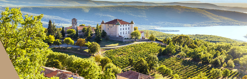 Frankreich Weinberg