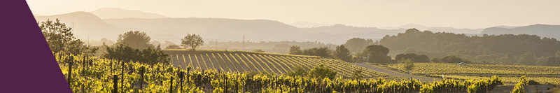 Domaine Moulin Saint-Jean