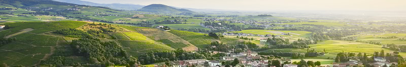 Côtes du Rhône