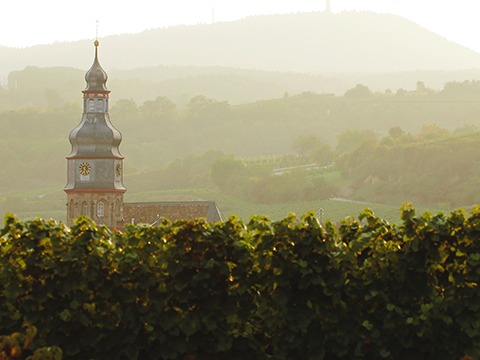 Pfalz