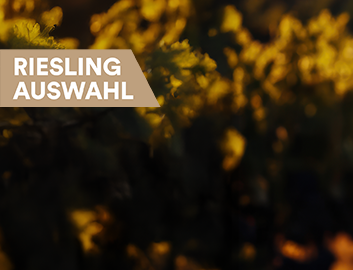 Riesling Entdecken