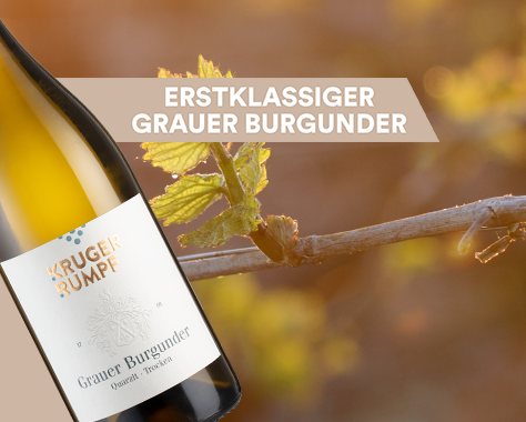 Kruger-Rumpf Grauer Burgunder Quarzit trocken 2023