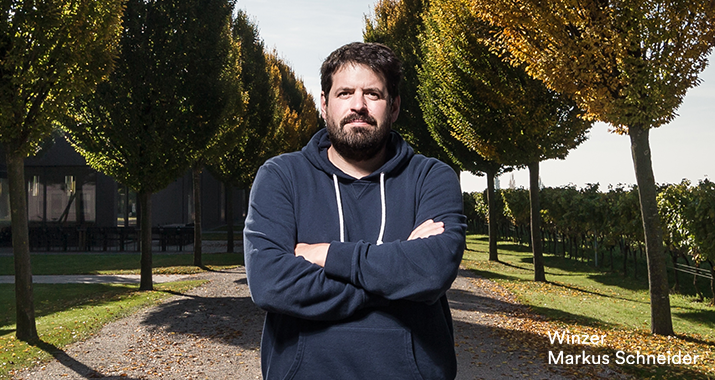 Winzer Markus Schneider