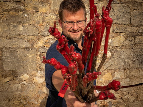 Château Robin 2021 Winzer