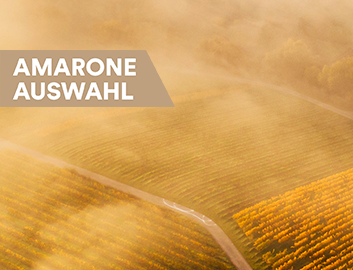 Amarone entdecken