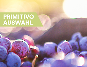 Primitivo entdecken