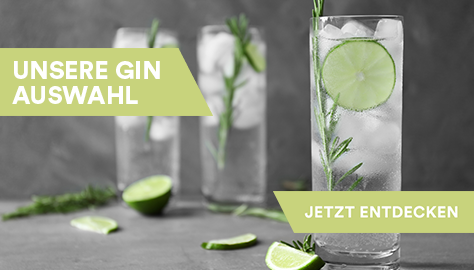 Unsere Gin Auswahl