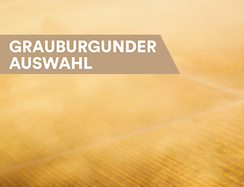Grauburgunderentdecken
