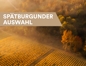 Spätburgunder entdecken