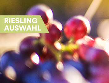 Riesling entdecken