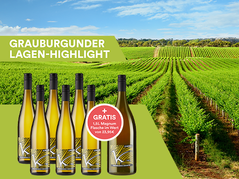 6er-Paket Grauburgunder Lagen-Highlight