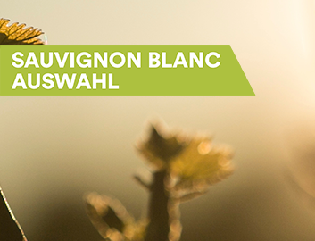 Sauvignon Blanc entdecken