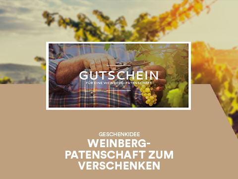 Weinberg Patenschaft