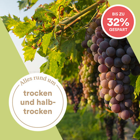 Geschmacksprofil: trocken oder halbtrocken?